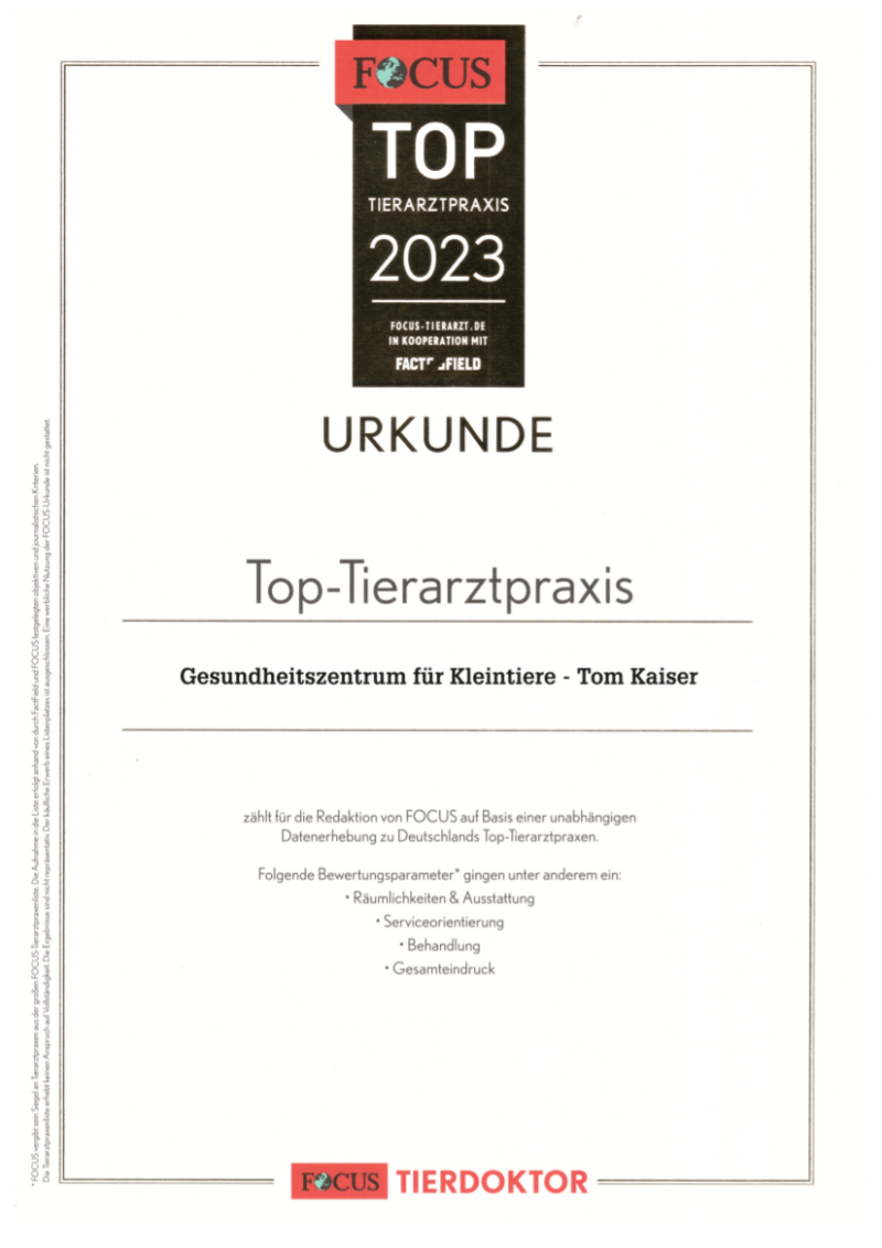 focusurkunde-800×1132